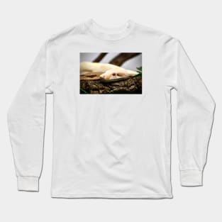 Snake III / Swiss Artwork Photography Long Sleeve T-Shirt